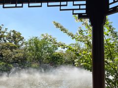 -上海滨江森林公园
