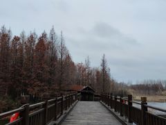 -溱湖国家湿地公园