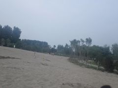 -东郊湿地公园