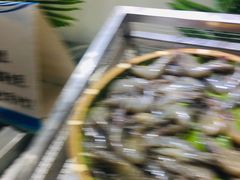 -集杰尚品海鲜烤肉自助餐厅(乳山振华店)