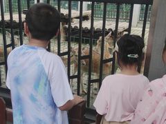 -西安秦岭野生动物园