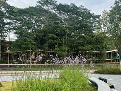 -中旅阿那亚九龙湖·公主酒店