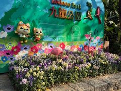 -九龙公园