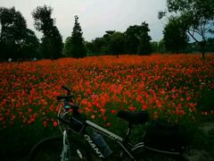 -艾溪湖湿地公园