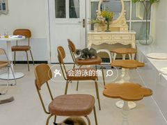 -共舞时光猫咖·狗咖(新街口店)
