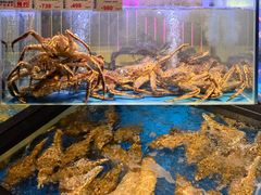 -南海渔村(珠江新城店)