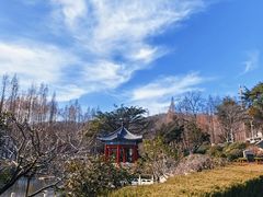 -湛山寺