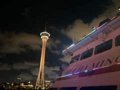 -澳门环岛游湾仔码头