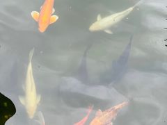 -园林格兰云天大酒店-太极名厨中餐厅