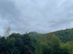 -宁海安岚·南溪阁全日餐厅