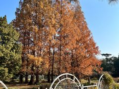 -国家植物园南园