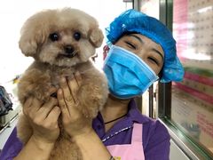 -北京观赏动物医院·24小时大型综合·猫专科·异宠专科