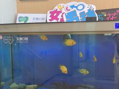 -艾维口腔(春江花月门诊部)