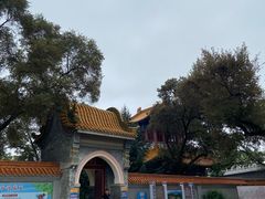 -齐齐哈尔市博物馆