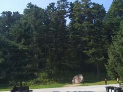 -五营红松林海景区