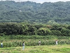 -风云岭森林公园