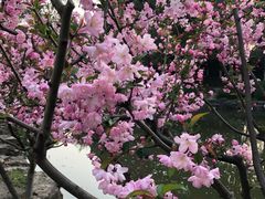 -昆山城市公园