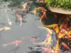 -千滋百味·醉江澜花园餐厅(街道口店)