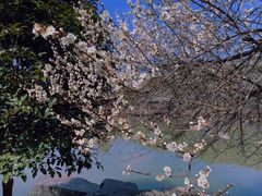 -宝岩生态观光园