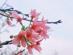 -广州汇华希尔顿逸林酒店