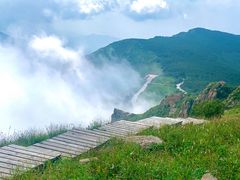 -白草畔自然风景区