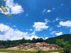 -广州白江湖森林公园