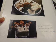 -王家渡火锅店(棕榈泉店)