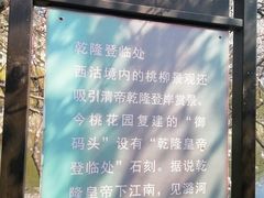 -桃花堤公园