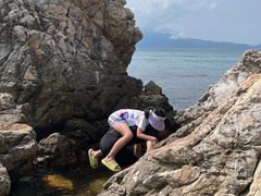-鹿嘴山庄