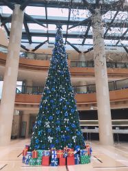 -上海浦东喜来登由由大酒店·宴会厅