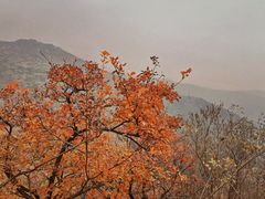 -香山公园