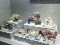 -湖南省地质博物馆