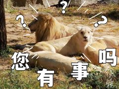 -北京野生动物园