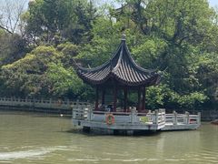 -汇龙潭