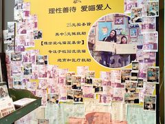 -猫咪博物馆(顶澳仔猫街店)