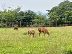 -良渚古城遗址公园