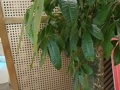 -普天和酒楼(天津之眼店)