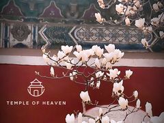 -北京艺术博物馆(万寿寺)