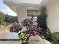 -人民公园(罗湖区)