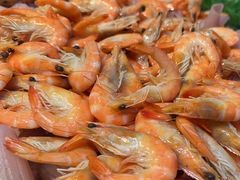 -非烤勿扰韩料自助烤肉(松山湖万科店)