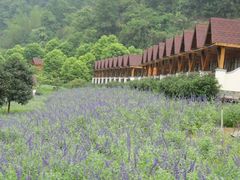 -德庆盘龙峡生态旅游区