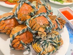 -裕龙汤泉