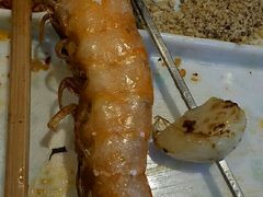 -河坝강뚝烧烤专门店(旗舰店)