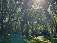 -大兴滨河森林公园