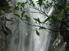 -内乡宝天曼生态旅游区