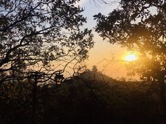 -杭州半山国家森林公园