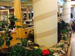 -朴大人炭烤·韩国料理(奥帆中心海尔洲际店)