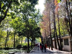 -晓港公园