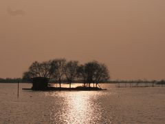 -苏州太湖湖滨国家湿地公园