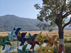 -溪口-滕头旅游景区